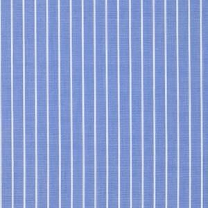Blue and White Stripe ALBINI FL406167