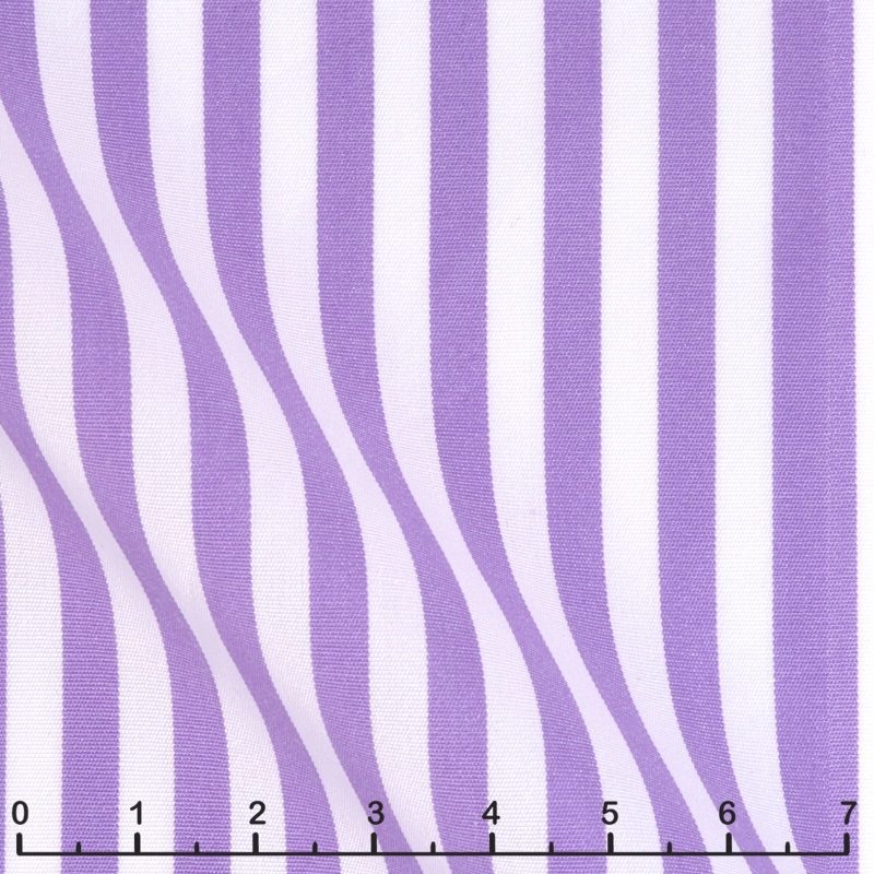 Purple and White Candy Stripe